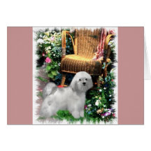 Havanese Art Gifts