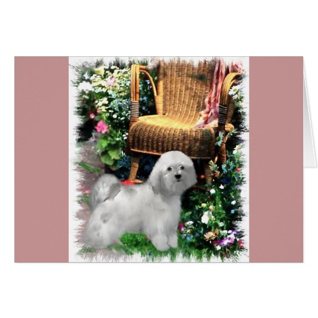 Havanese Art Gifts (Voorkant Horizontaal)