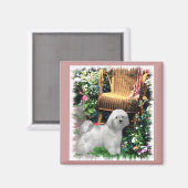 Havanese Art Gifts Magneet (Voorkant / Achterkant)