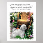 Havanese Art Print (Voorkant)