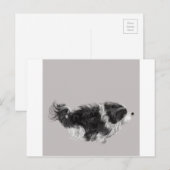 Havanese B&W Briefkaart (Voorkant / Achterkant)