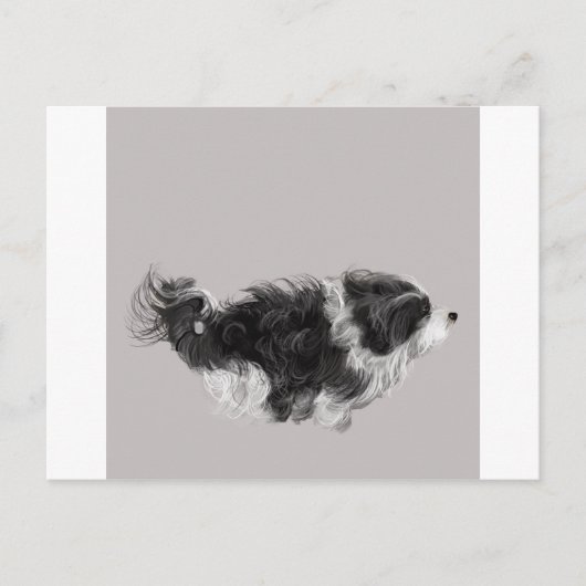 Havanese B&W Briefkaart (Voorkant)
