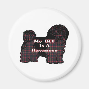 HAVANESE BFF-cadeautjes Magneet