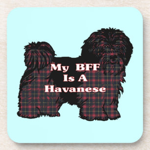 HAVANESE BFF DRANKJES ONDERZETTER