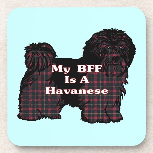 HAVANESE BFF DRANKJES ONDERZETTER (Voorkant)
