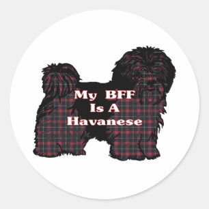 Havanese BFF Sticker