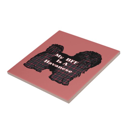 HAVANESE BFF TEGELTJE (Zijkant)