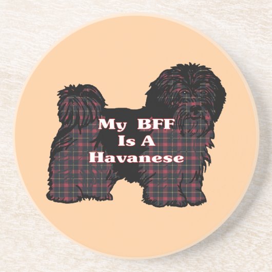 HAVANESE BFF ZANDSTEEN ONDERZETTER (Voorkant)