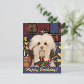 HAVANESE     BRIEFKAART (Staand voorkant)