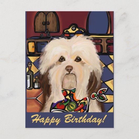 HAVANESE     BRIEFKAART (Voorkant)