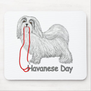Havanese Dag Muismat