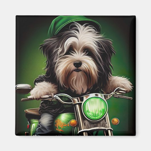 Havanese Dog Driving Bike St. Patrick's Day Magneet (Voorkant)