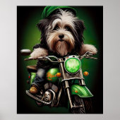 Havanese Dog Driving Bike St. Patrick's Day Poster (Voorkant)
