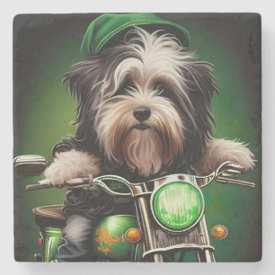 Havanese Dog Driving Bike St. Patrick's Day Stenen Onderzetter