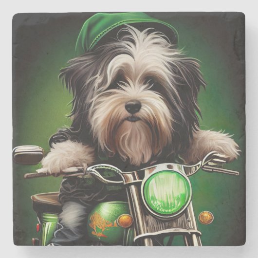 Havanese Dog Driving Bike St. Patrick's Day Stenen Onderzetter (Voorkant)