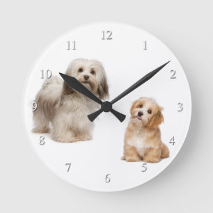 Havanese Dog en Puppy Clock Ronde Klok