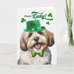 Havanese Dog Feelin' Lucky St Patrick's Day Feestdagen Kaart