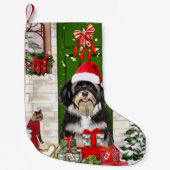 Havanese Dog Kerstmis Kleine Kerstsok (Voorkant)