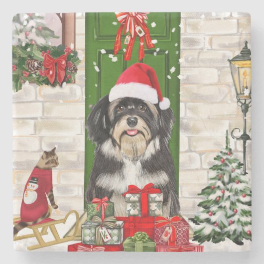 Havanese Dog Kerstmis Stenen Onderzetter (Voorkant)