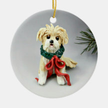 Havanese Dog-kerstversiering