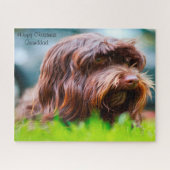 Havanese Dog. Legpuzzel (Horizontaal)