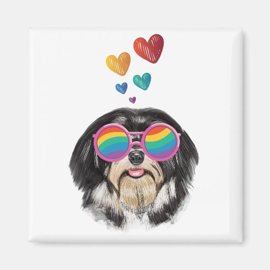 Havanese Dog met harten Valentijnsdag Magneet (Voorkant)