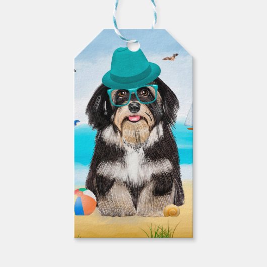 Havanese Dog op strand Cadeaulabel (Voorkant)