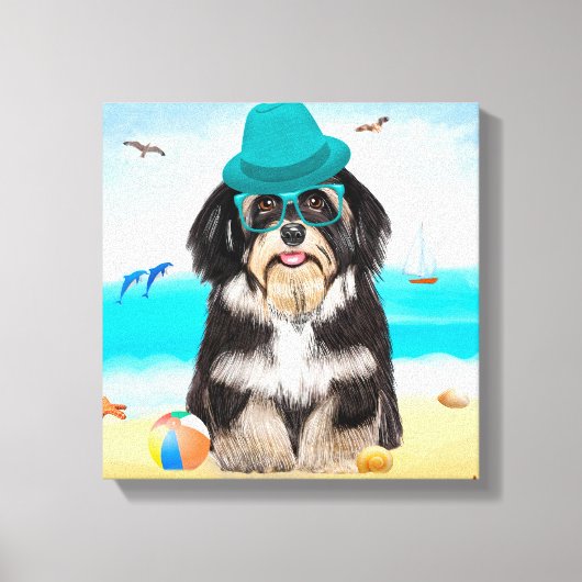 Havanese Dog op strand Canvas Afdruk (Voorkant)