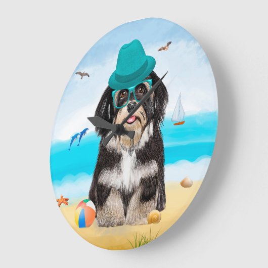 Havanese Dog op strand Grote Klok (Hoek)