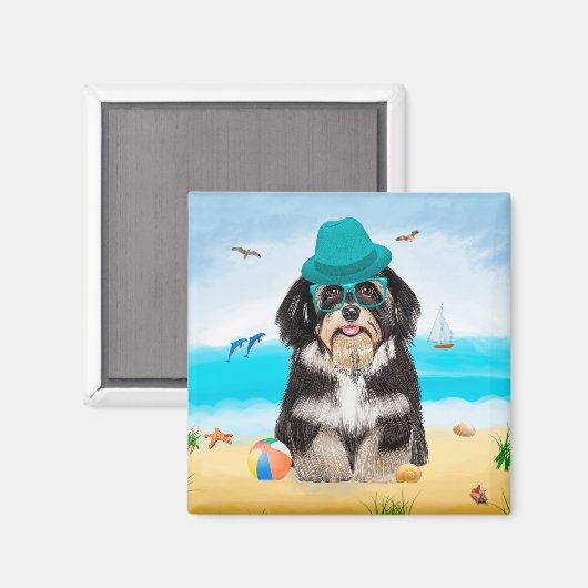 Havanese Dog op strand Magneet (Voorkant / Achterkant)