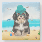 Havanese Dog op strand Stenen Onderzetter (Voorkant)