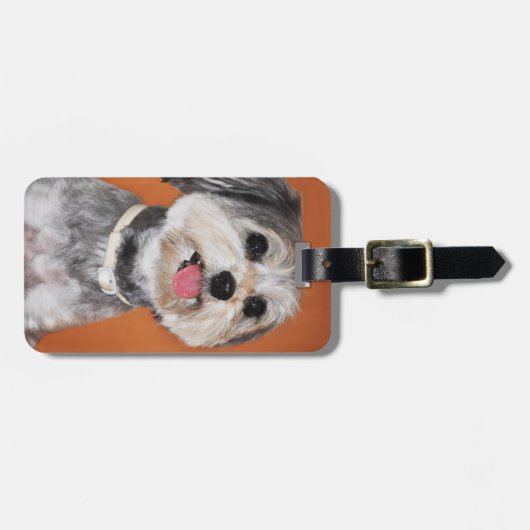 Havanese Dog Portrait Bagagelabel (Voorkant horizontaal)