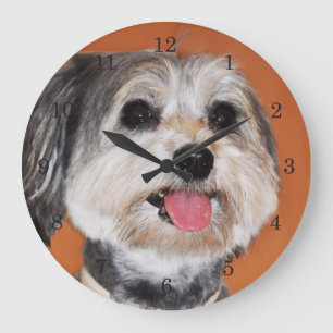 Havanese Dog Portrait Grote Klok
