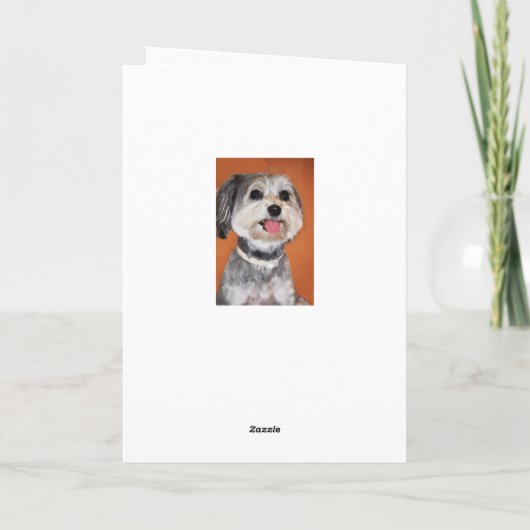 Havanese Dog Portrait Kaart (Achterkant)