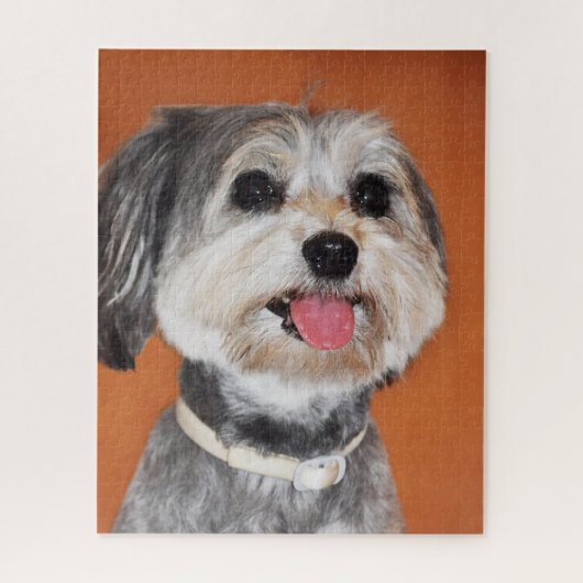 Havanese Dog Portrait Legpuzzel (Verticaal)