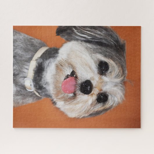 Havanese Dog Portrait Legpuzzel (Horizontaal)