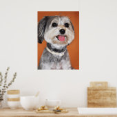 Havanese Dog Portrait Poster (Keuken)