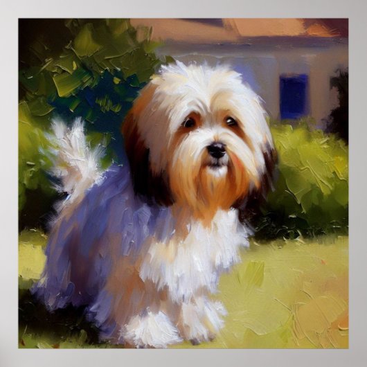 Havanese Dog Poster (Voorkant)