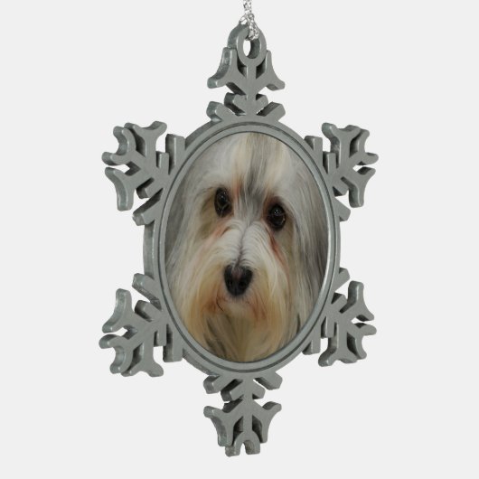Havanese Dog Tin Sneeuwvlok Ornament (Links)