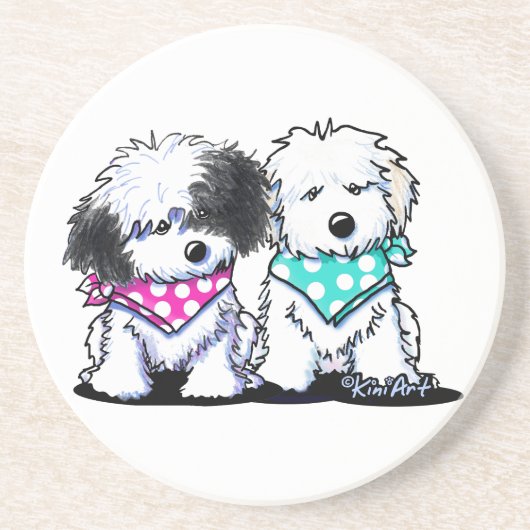 Havanese Duo Zandsteen Onderzetter (Voorkant)