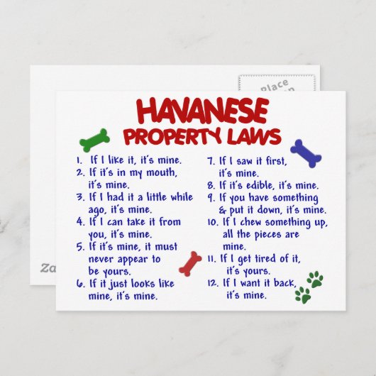 HAVANESE Eigendomwetten 2 Briefkaart (Voorkant / Achterkant)