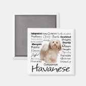 Havanese eigenschappen magneet (Voorkant / Achterkant)