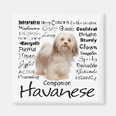 Havanese eigenschappen magneet (Voorkant)