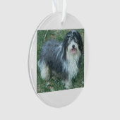 havanese full.png ornament (voorkant)