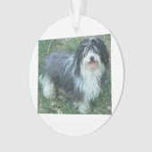 havanese full.png ornament (voorkant)