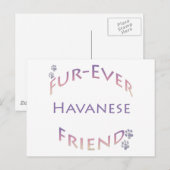 Havanese Furever Briefkaart (Voorkant / Achterkant)