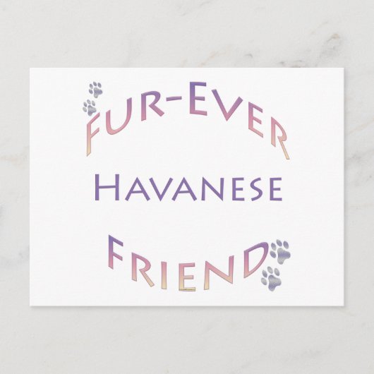 Havanese Furever Briefkaart (Voorkant)