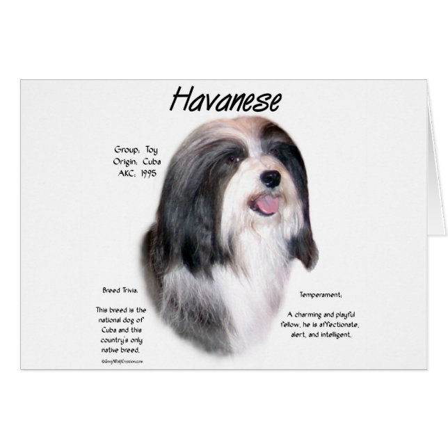 Havanese Geschiedenis Ontwerp (Voorkant Horizontaal)