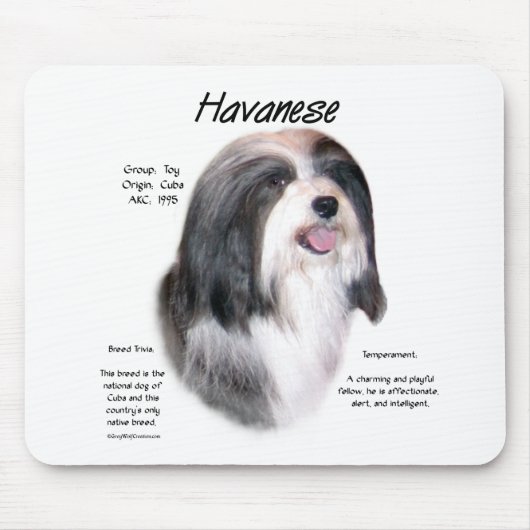 Havanese Geschiedenis Ontwerp Muismat (Voorkant)