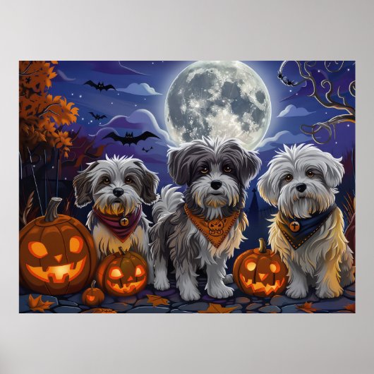 Havanese Halloween Griezelen Poster (Voorkant)